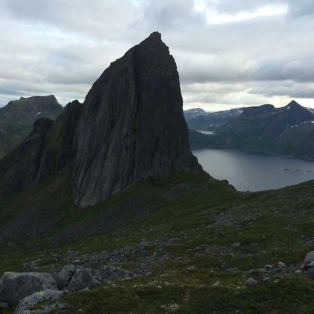 Fjordgård Lägenhet Exteriör bild