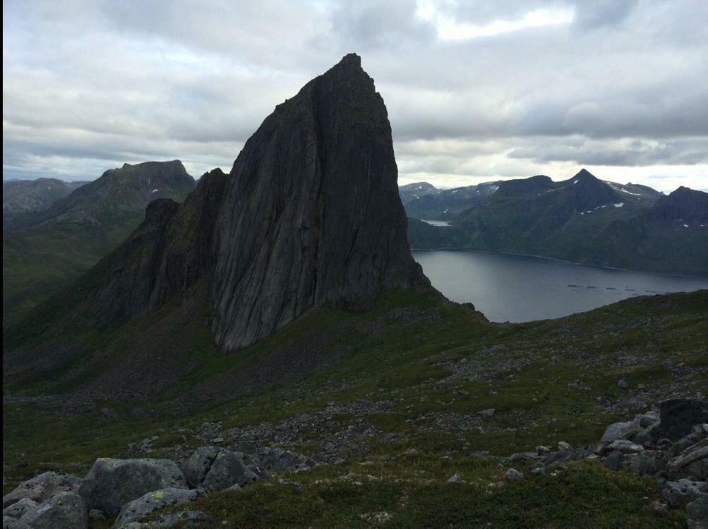 Fjordgård Lägenhet Exteriör bild